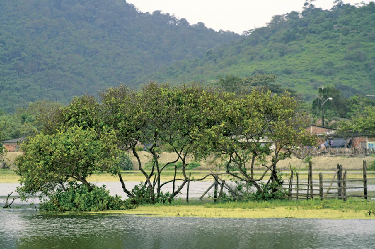El Campito Hotel